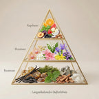Visuelle Duftpyramide von Blue Magic: Kopfnote mit reichem Früchtemix aus Orange und Pflaume, Herznote mit Orchidee und Iris, Basisnote mit Vanille, Sandelholz und Eichenmoos.