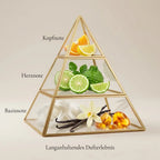 Visuelle Duftpyramide von Erba: Kopfnote mit spritziger Orange und Zitrus, Herznote mit grüner Bergamotte, Basisnote mit weißem Moschus, Vanilleblüten und Amber.
