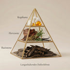 Visuelle Duftpyramide von Vaillant: Kopfnote mit weißem Moschus und Amber, Herznote mit markantem Leder, Vetiverwurzeln und Vanille, Basisnote mit dunklem Oud-Holz.