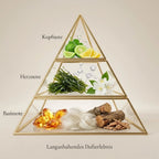 Visuelle Duftpyramide von A Chaos In The Ocean: Kopfnote aus Bergamotte und Zitrone, Herznote aus aquatischen Noten, Seetang und Jasmin, Basisnote aus Amber, Moschus und Treibholz.