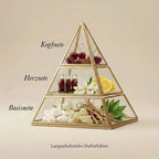 Visuelle Duftpyramide von Emir Cherry Cola: Kopfnote aus Kirsche und Zimt, Herznote mit Cola-Akkord, Zitrone und Blüten, Basisnote aus Moschus, Harzen, Vetiver und Patschuli.