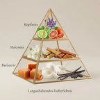 Visuelle Duftpyramide von Emir Voux Zeste: Kopfnote aus Bergamotte, Blutorange und Lavendel, Herznote aus Jasmin, Süßholz und Zimt, Basisnote aus Karamell, Moschus und Vanille.