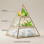 Visuelle Duftpyramide von Emir Voux Zingy: Kopfnote aus Zitrone, Bergamotte und Basilikum, Herznote aus Jasmin und Verveine, Basisnote aus flauschigem, weißem Moschus.