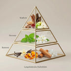 Visuelle Duftpyramide von Wild And Tobacco: Kopfnote mit Apfel, Oud, Zimt und Safran, Herznote mit Jasmin und Patschuli, Basisnote mit Vanille, Amber und Sandelholz.