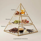 Visuelle Duftpyramide von You're Drugged: Kopfnote mit edlem Whiskey und Zimt, Herznote mit Kardamom und Muskatnuss, Basisnote mit Kaffeebohnen und Vanille.
