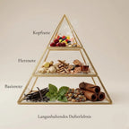 Visuelle Duftpyramide von Old Fashioned: Kopfnote mit Cocktail-Kirsche, Früchten und Zucker, Herznote mit Ingwerwurzel, Holz und einem Schuss Bourbon-Whiskey, Basisnote mit Vanilleschoten, Patschuli, Harzen und Lederrollen.