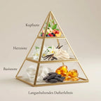Visuelle Duftpyramide von Tahara Vanilla: Kopfnote mit Apfel, Pfirsich, Beeren und grünen Blättern, Herznote mit weißen Blüten, Vanilleschoten und süßer Vanillecreme, Basisnote mit weißem Moschus, Tonkabohne und goldenem Amber.