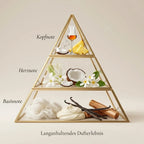 Visuelle Duftpyramide von Tahiti Colada: Kopfnote mit Rum, frischer Kokosnuss und Ananas, Herznote mit weißen Blüten und Kokos, Basisnote mit weißem Moschus, Vanillecreme, Vanilleschoten und Sandelholz.