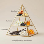 Visuelle Duftpyramide von Vanilla Latte: Kopfnote mit cremigem Karamell, Butter und dunklem Lakritz, Herznote mit fließendem Honig, weißen Blüten und Tonkabohne, Basisnote mit Vanilleschoten, weißem Moschus und Amber.