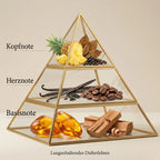 Visuelle Duftpyramide von Lattafa Asad: Kopfnote mit saftiger Ananas, Tabakblättern und schwarzem Pfeffer, Herznote mit Vanille und Kaffeebohnen, Basisnote mit Amber und edlem Holz.