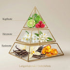 Visuelle Duftpyramide von Lattafa Her Confession: Kopfnote mit Zitrus und Himbeere, Herznote mit Jasmin und Orangenblüten, Basisnote mit Vanille und Amber.