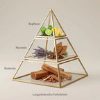 Visuelle Duftpyramide von Jorge Di Profumo: Kopfnote mit Zitrus und Pfeffer, Herznote mit Lavendel und Tabak, Basisnote mit edlem Sandelholz.